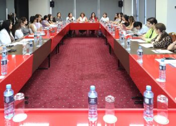 Գենդերային բռնության հիմնախնդրի հասցեագրումը Հայաստանում․ ՔՀԿ-ԱԺ հարթակի հանդիպում